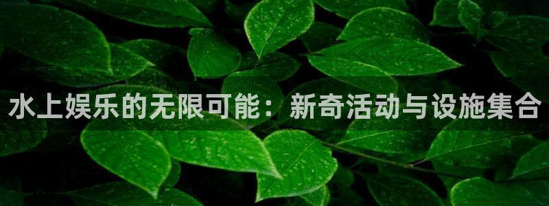 优贝娱乐：水上娱乐的无限可能：新奇活动与设施集合