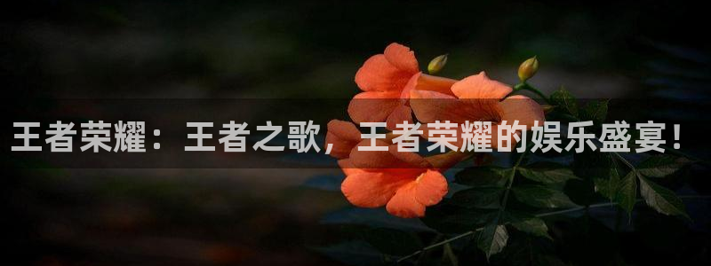 优贝娱乐：王者荣耀：王者之歌，王者荣耀的娱乐盛宴！