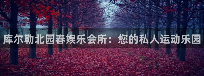 优贝娱乐：库尔勒北园春娱乐会所：您的私人运动乐园