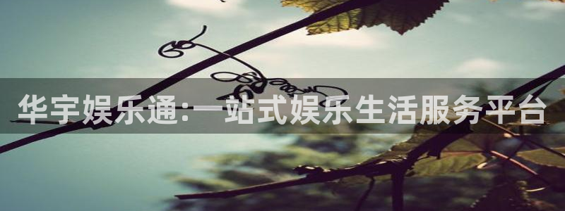 优贝娱乐：华宇娱乐通:一站式娱乐生活服务平台