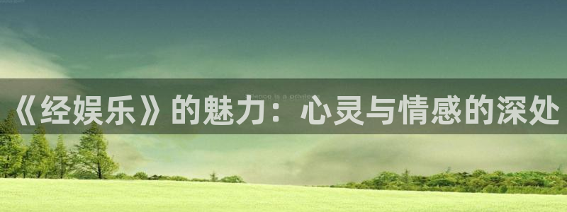 优贝娱乐：《经娱乐》的魅力：心灵与情感的深处